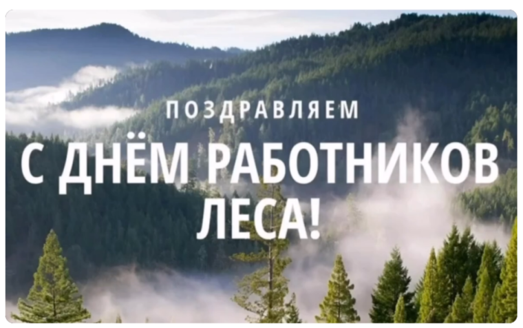 С днём работников леса!.